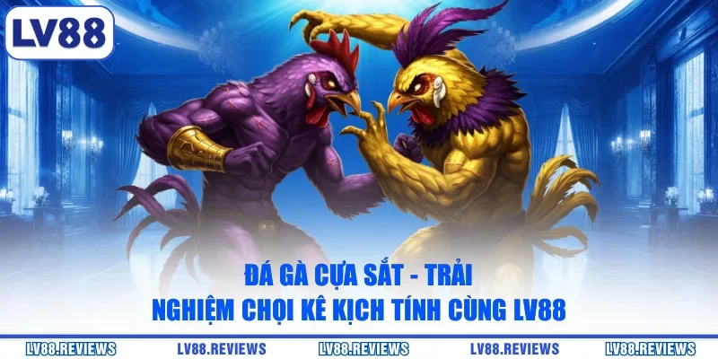 Đá Gà Cựa Sắt - Trải Nghiệm Chọi Kê Kịch Tính Cùng LV88
