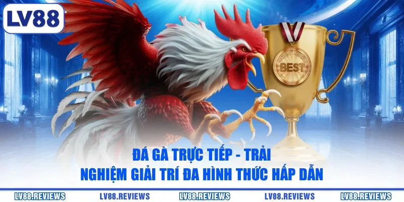 Đá Gà Trực Tiếp - Trải Nghiệm Giải Trí Đa Hình Thức Hấp Dẫn