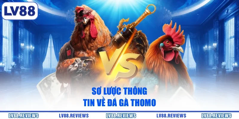 Sơ lược thông tin về đá gà Thomo
