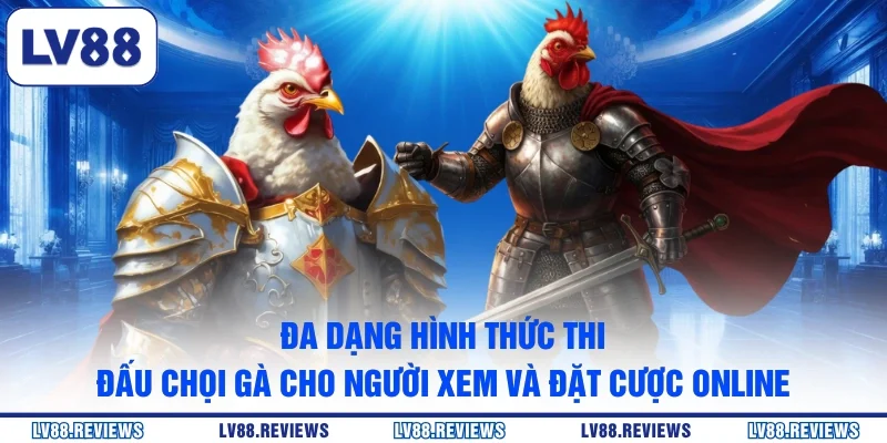 Đa dạng hình thức thi đấu chọi gà cho người xem và đặt cược online